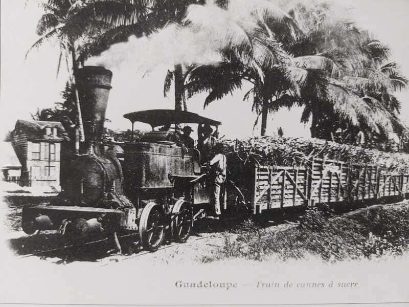 Sugar Cane Train